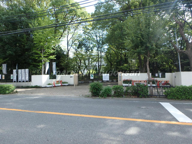 成文小学校