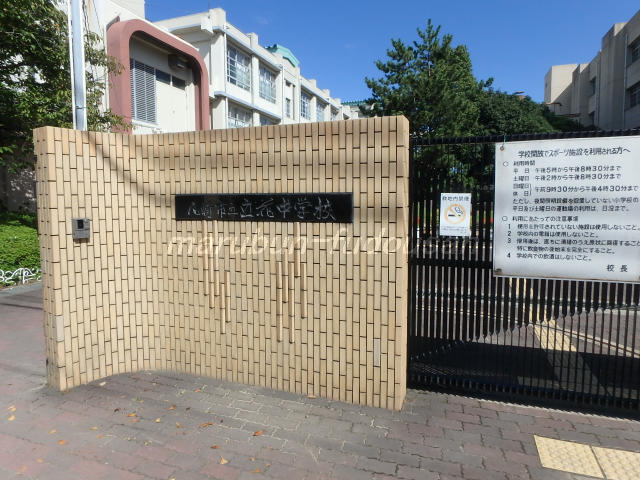 35797画像