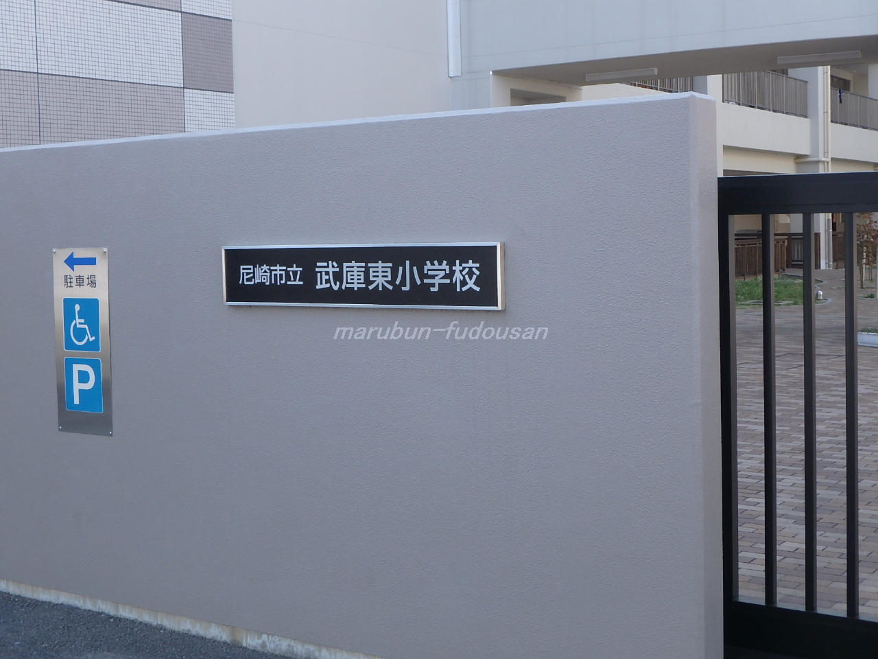35764画像
