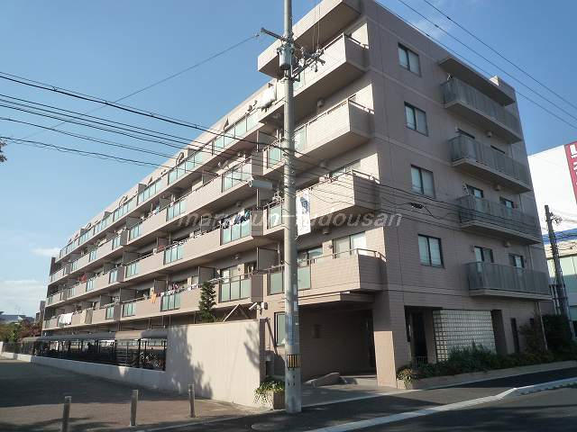 35782画像